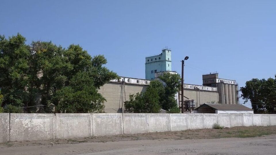 По данным СБУ, злоумышленники незаконно завладели и реализовали почти 250 тонн семян подсолнечника и пшеницы