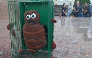 В Гродно протестующие посадили условного таракана