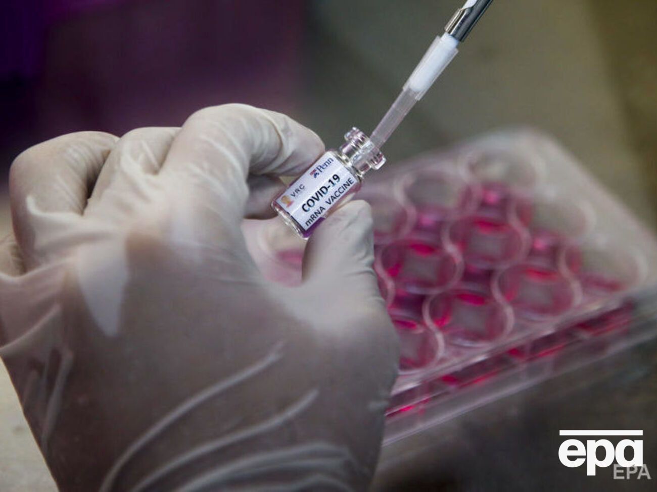 В ВОЗ сообщали, что в мире ведется разработка более 200 вакцин от коронавируса