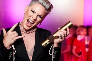 Pink познакомилась с Хартом в 2001 году