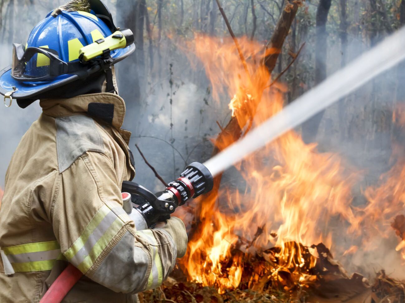 Спасатели напомнили о запрете разводить костры во время пожароопасного периода