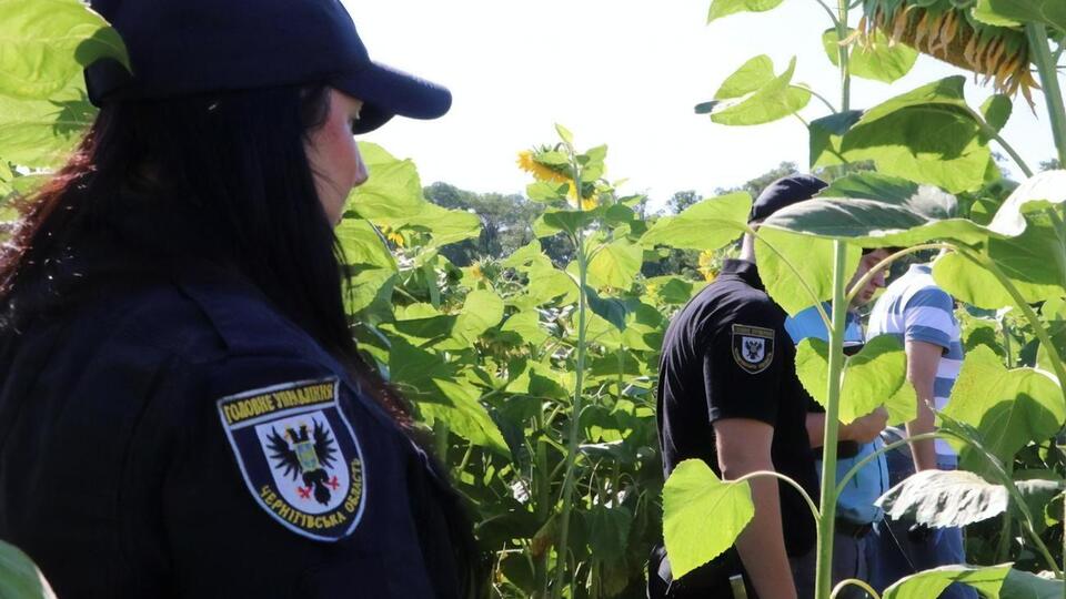 Убийца оставил тело на подсолнечном поле