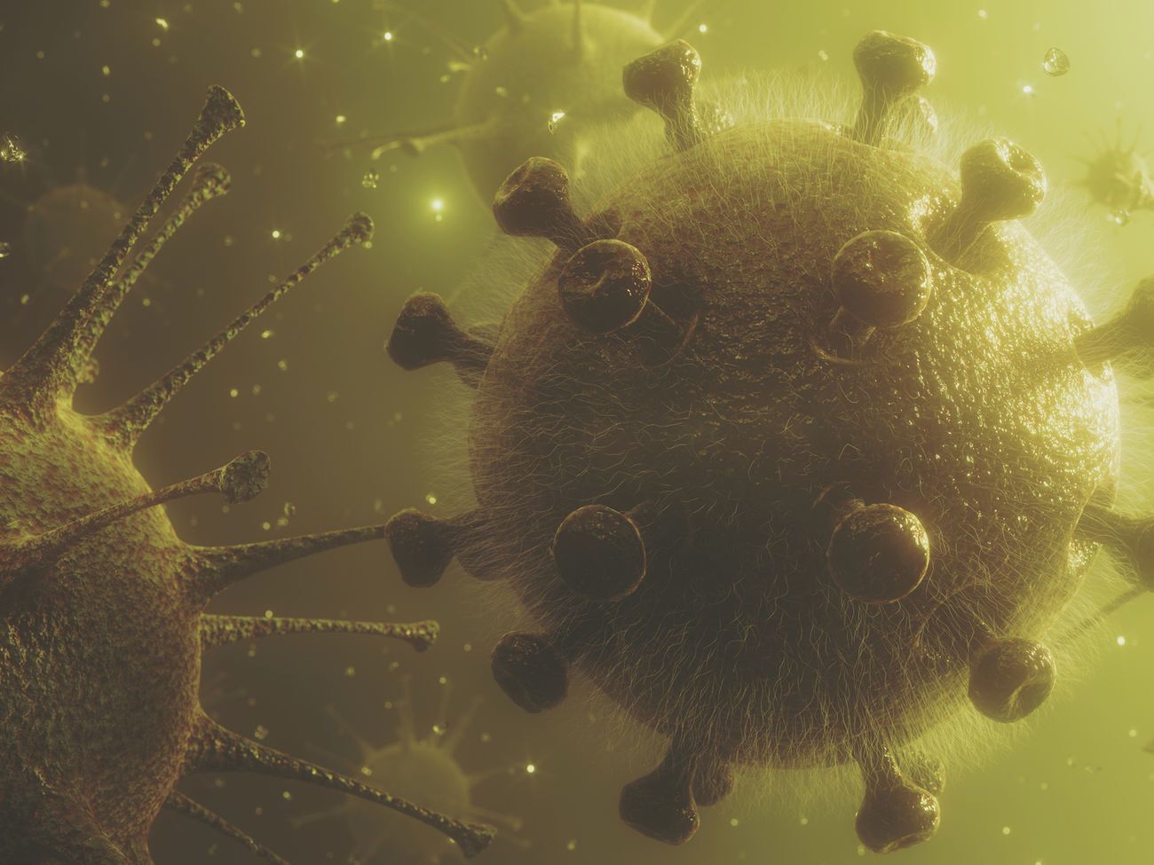 В сточных водах Киева коронавирус не нашли