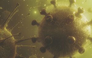 В сточных водах Киева коронавирус не нашли