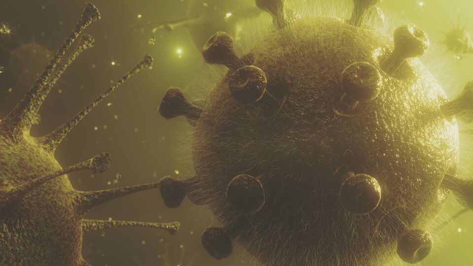 В сточных водах Киева коронавирус не нашли