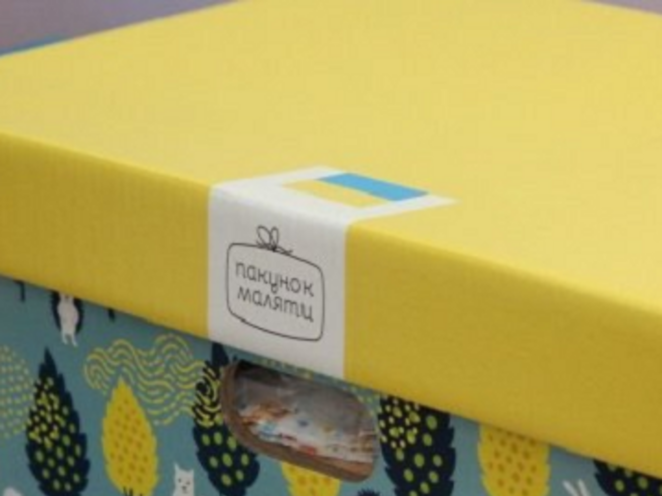 Бебі-бокси закінчилися у восьми регіонах країни