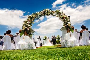 На одной свадьбе на Буковине было до 500 гостей