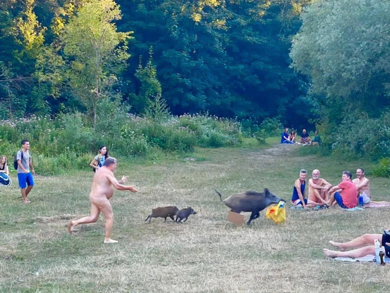 Інцидент стався біля озера Тойфельзе