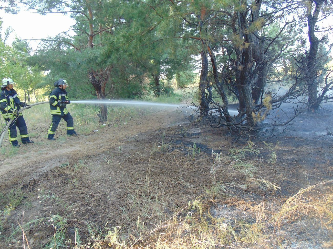 Площадь пожара составляет около пяти гектар