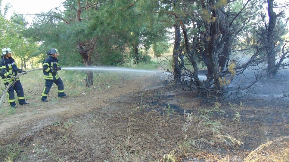Площадь пожара составляет около пяти гектар