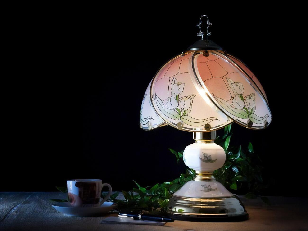 Электроэнергия будет оплачиваться по ценам, по которым поставщик универсальных услуг осуществляет поставки электрической энергии бытовым потребителям