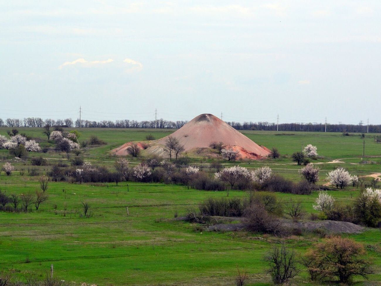 Бойовики звинувачували українських військових в облаштуванні позицій поблизу Шумів