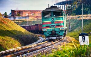 Машинист успел остановить поезд