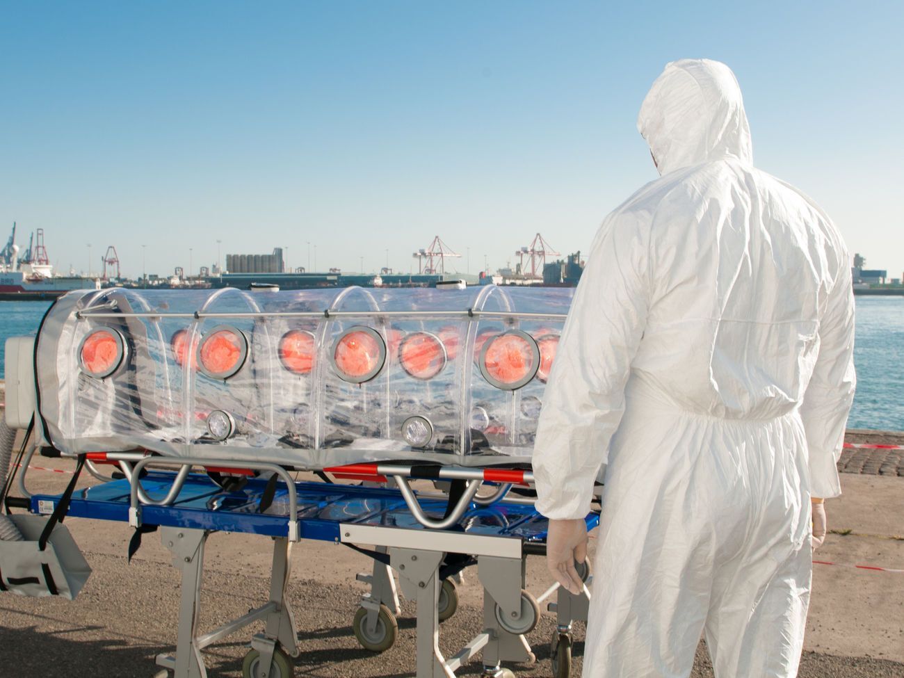 Пандемия набирает обороты