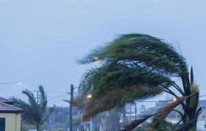 "Салли" ожидается в Луизиане утром 14 сентября