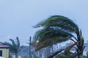 "Салли" ожидается в Луизиане утром 14 сентября