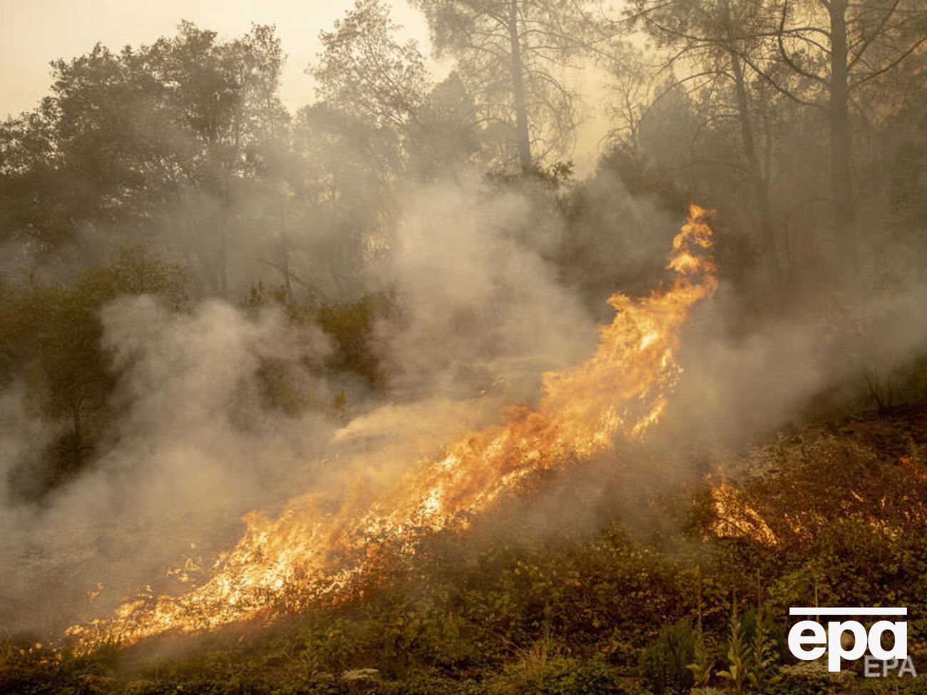 По состоянию на 12 сентября было известно о 97 пожарах