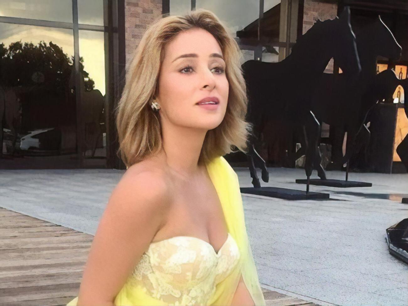 Огнєвіч: Узяла паузу