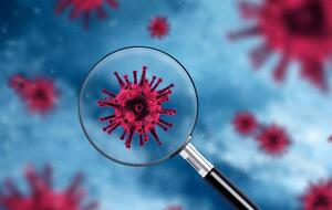 На пике вспышки коронавирусной инфекции в России зафиксировали 50,8 тыс. смертей