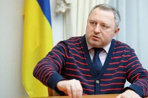 До прихода в политику Костин работал адвокатом