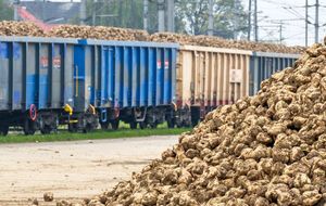 Ставка ПДВ може зменшитися до 14%, зокрема на цукровий буряк