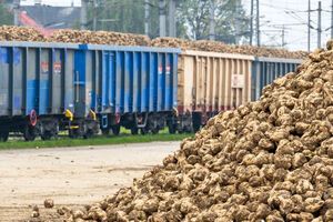 Ставка НДС может уменьшиться до 14%, в частности на сахарную свеклу