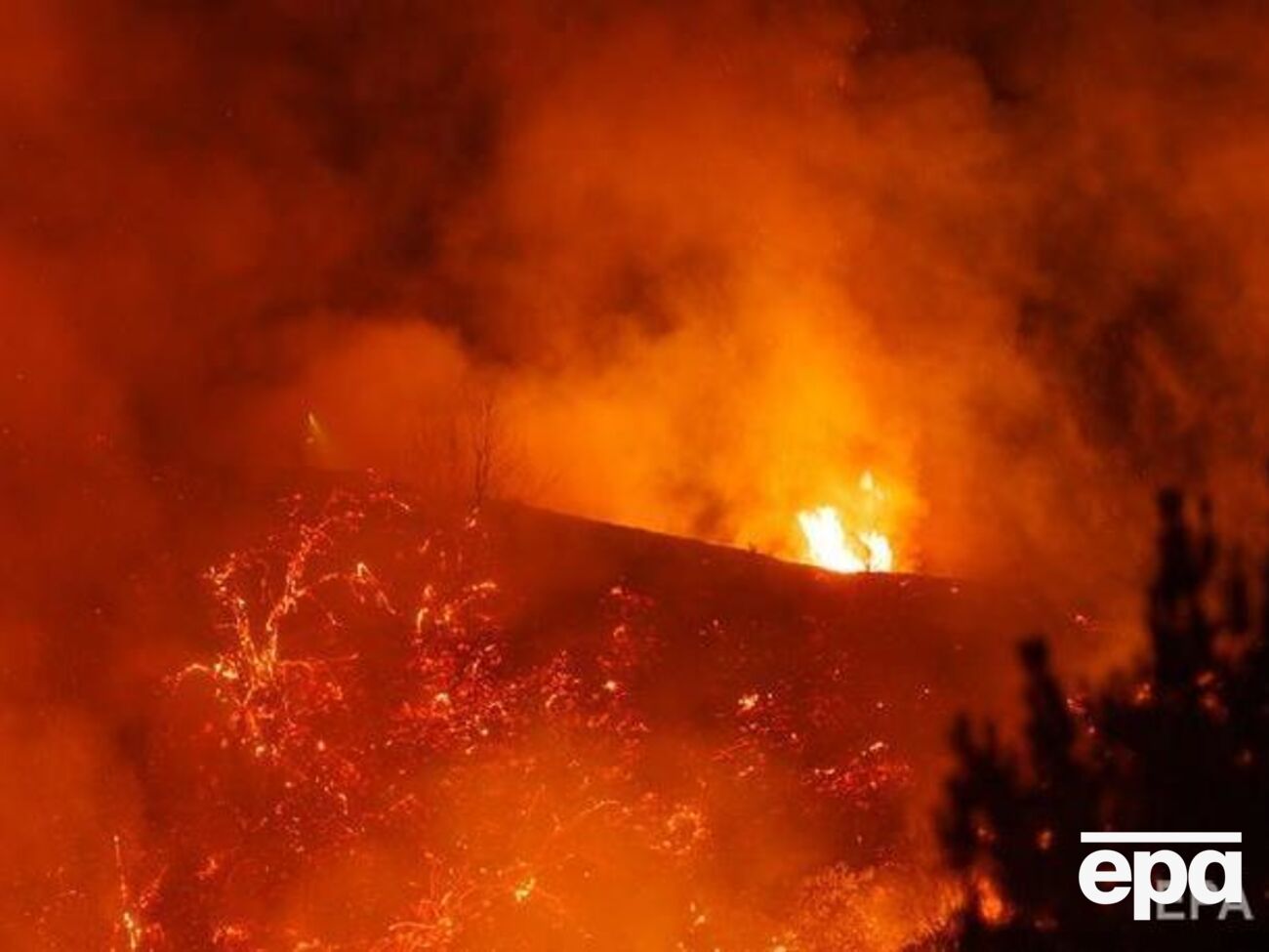 Густий дим від лісових пожеж у США можна виявити на відстані більше ніж 8 тис. км від них &ndash; у Європі