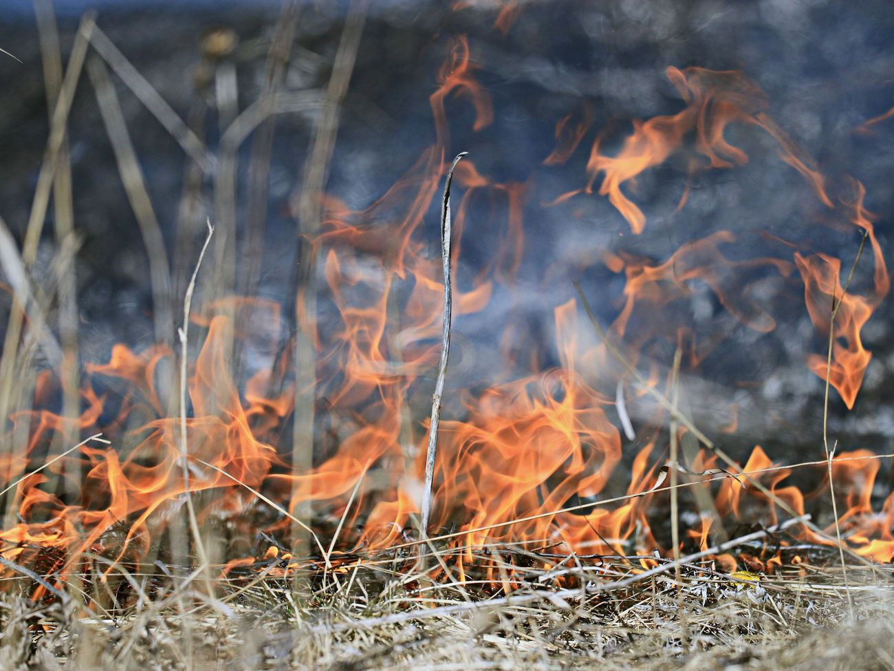 Українські військові ліквідували загоряння сухої трави