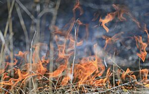 Українські військові ліквідували загоряння сухої трави