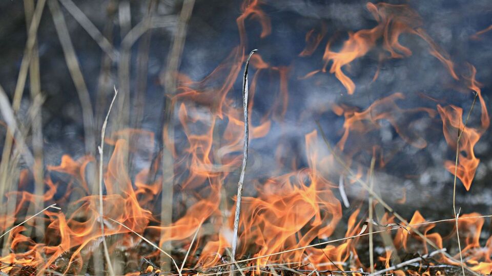 Українські військові ліквідували загоряння сухої трави