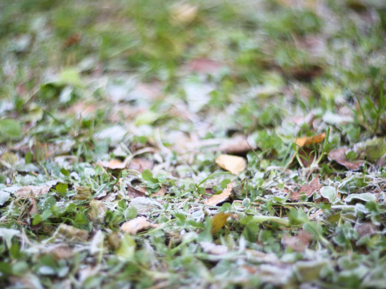 В Украине резко похолодало