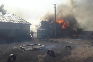 Из-за порывов ветра пламя начало распространяться на верхушки деревьев и на дома в селе Горобьевка