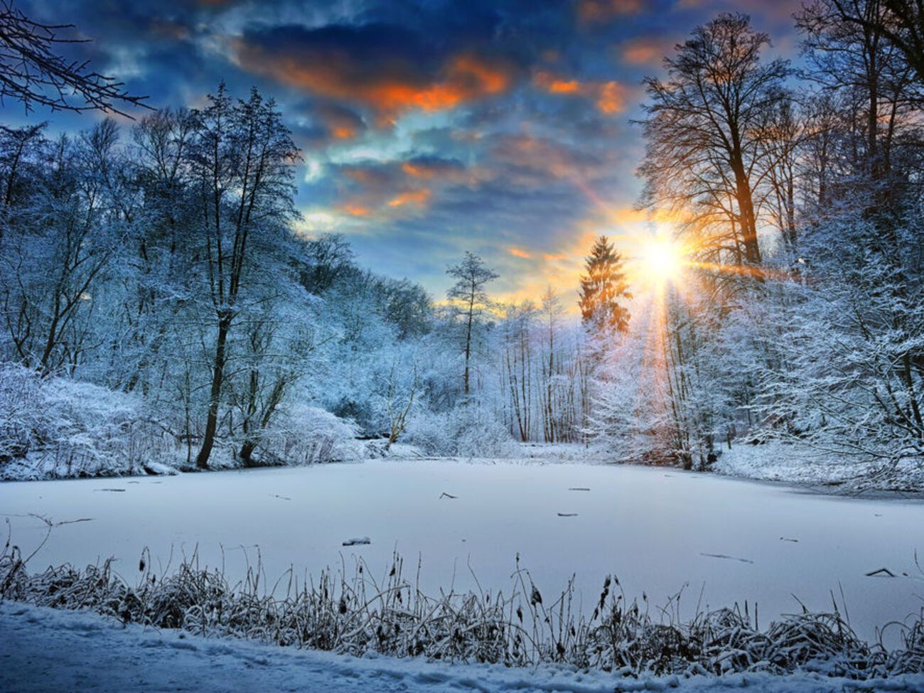 Снежные зимы в наши широты могут не вернуться, заявляют специалисты