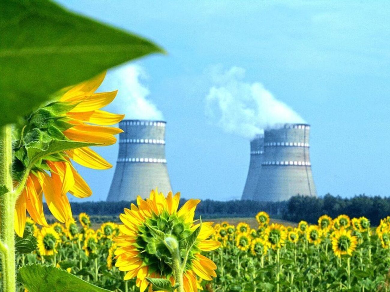 На Ровенской АЭС сообщили, что выброса не было