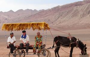 За оцінками правозахисних організацій, 3 млн уйгурів і представників інших мусульманських меншин перебувають у так званих таборах для перевиховання