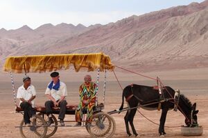 За оцінками правозахисних організацій, 3 млн уйгурів і представників інших мусульманських меншин перебувають у так званих таборах для перевиховання