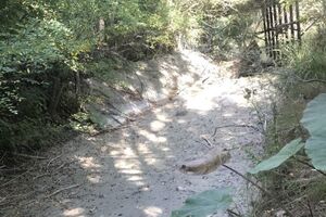 В Крыму пересохла река Танасу