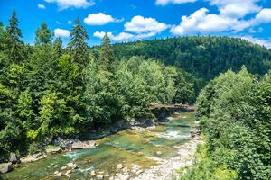 В карпатских реках прогнозируют повышение уровня воды на 0,3–1,5 м