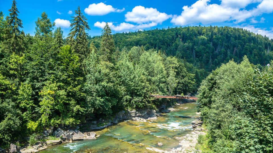В карпатских реках прогнозируют повышение уровня воды на 0,3–1,5 м