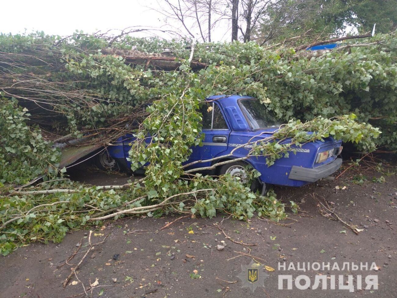 У Херсонській області пронісся ураган. Фоторепортаж