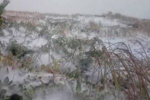 В Карпатах выпал снег