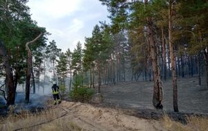 Пожар тушили 101 человек и 38 единиц техники