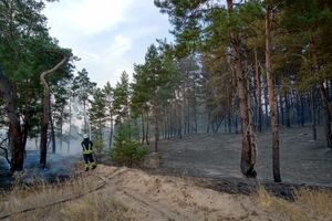 Пожежу гасили 101 людина і 38 одиниць техніки