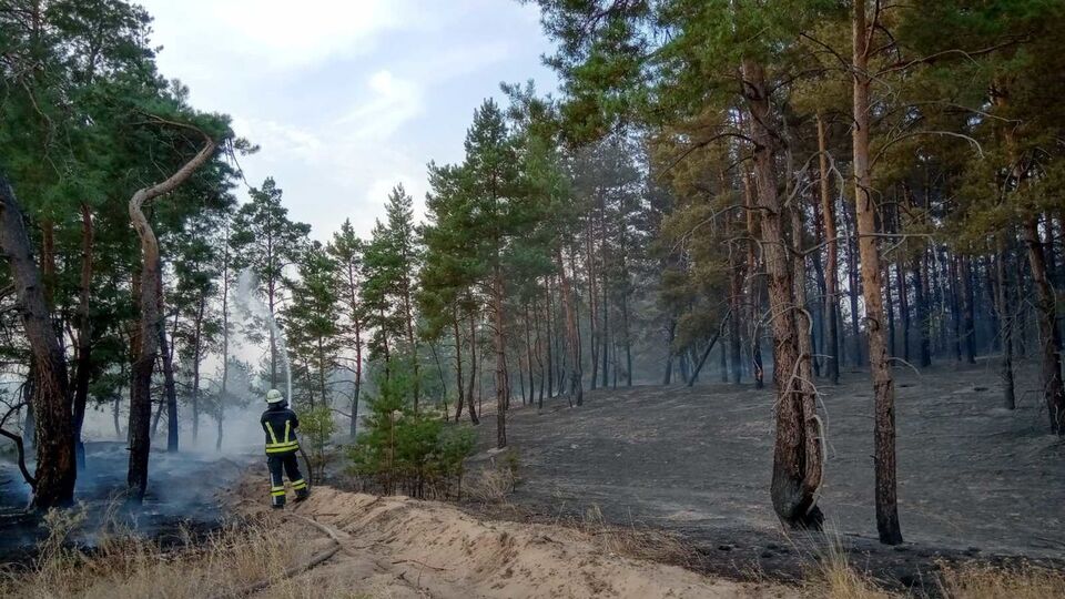 Пожар тушили 101 человек и 38 единиц техники