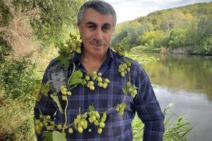 Комаровський: Гуляємо!