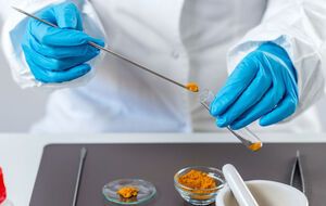 Пострадавшие ели салат "Дружба". В его составе – плавленый сырок