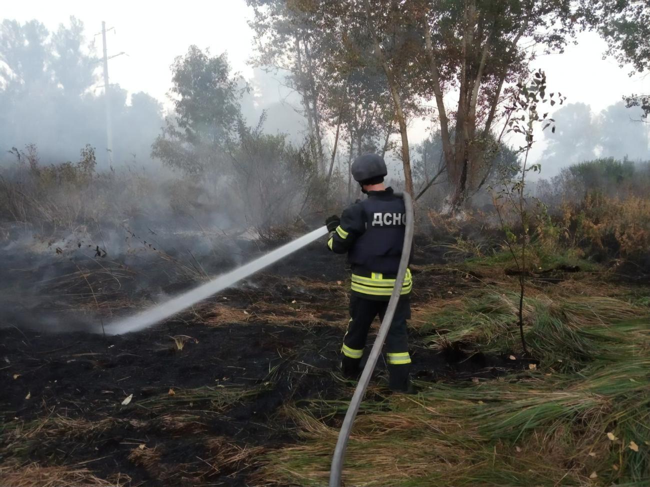 До гасіння пожеж залучили рятувальників із сусідніх областей