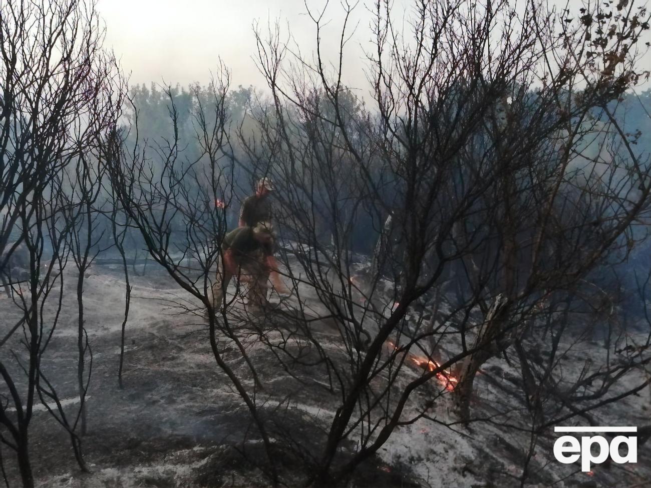 Станом на 11.00 3 вересня в Луганській області ліквідовано три осередки пожежі