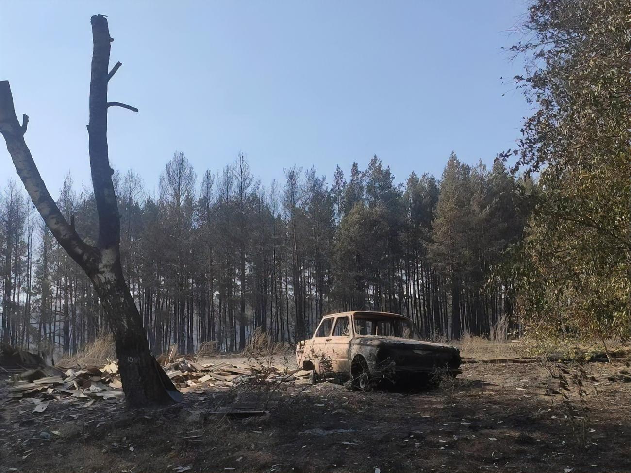 Село знищила лісова пожежа