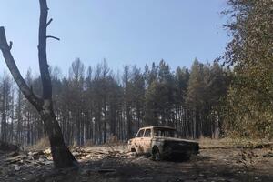 Село уничтожил лесной пожар